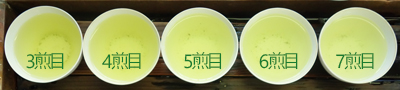 DSC02381trirs400t.jpg