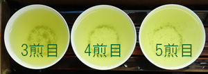 DSC03495rtris300t.jpg