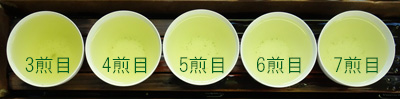DSC03525trirs400t.jpg