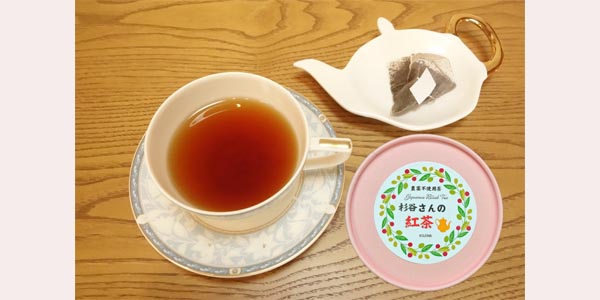 kamikann koucha　600x300 gray-1.jpg