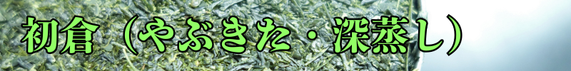初倉（やぶきた／深蒸し）.png