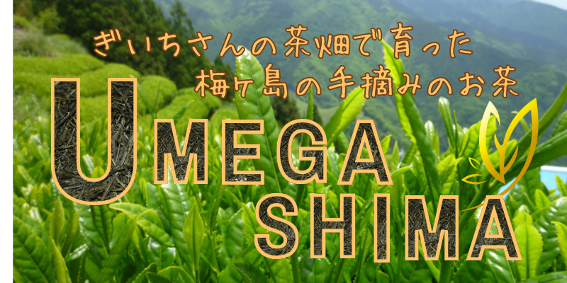 梅ヶ島手摘みのお茶.png