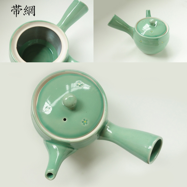 kyuusu usumidori taka-2 600x600.jpg