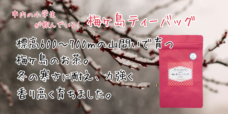梅ヶ島ティーバッグ.png