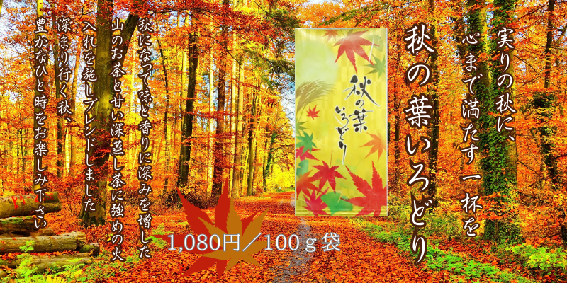 秋の葉いろどり.png