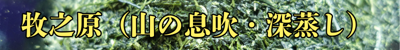 牧之原（山の息吹／深蒸し）.png