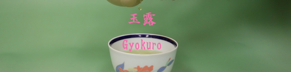 image-gyokuro-600.jpg