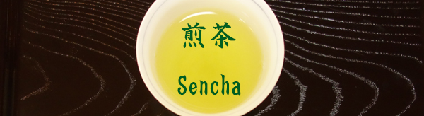 image-sencha-600.jpg